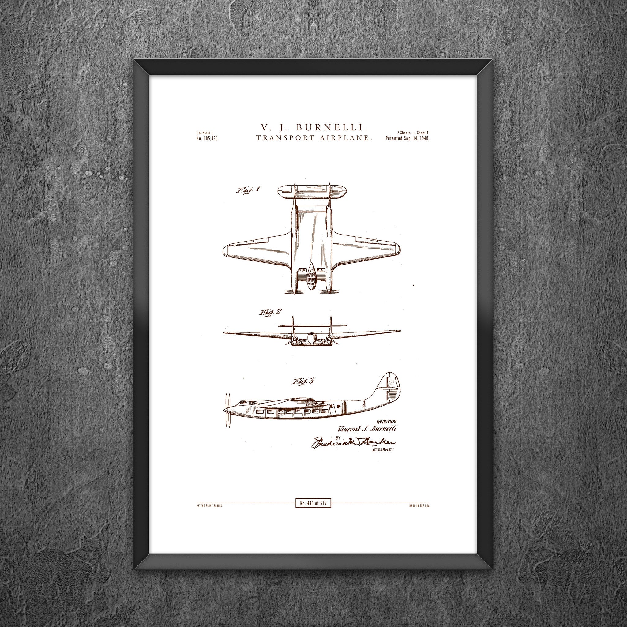 No 446 - Transport Airplane