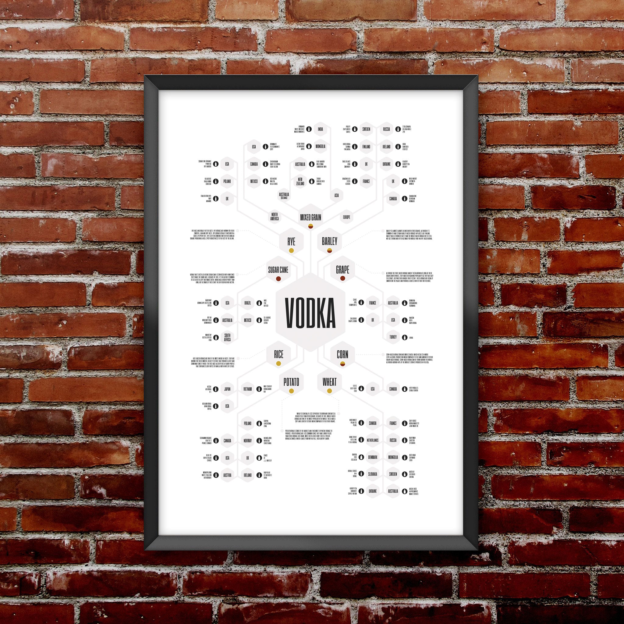Vodka Diagram Print