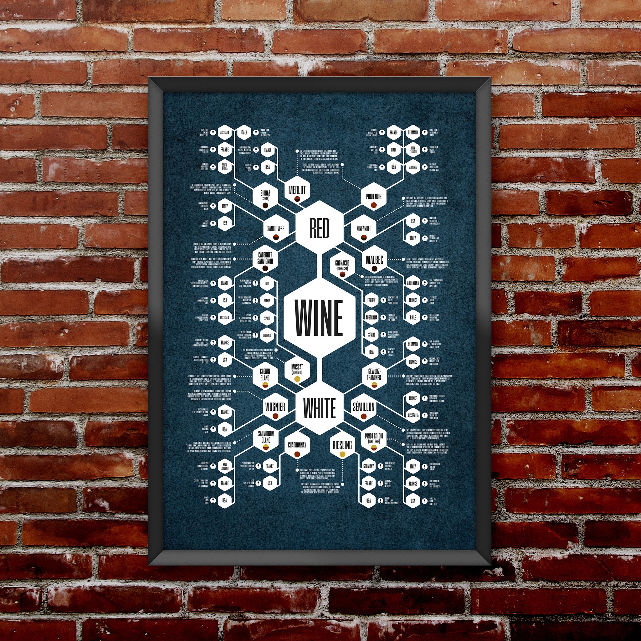 Wine Diagram Print