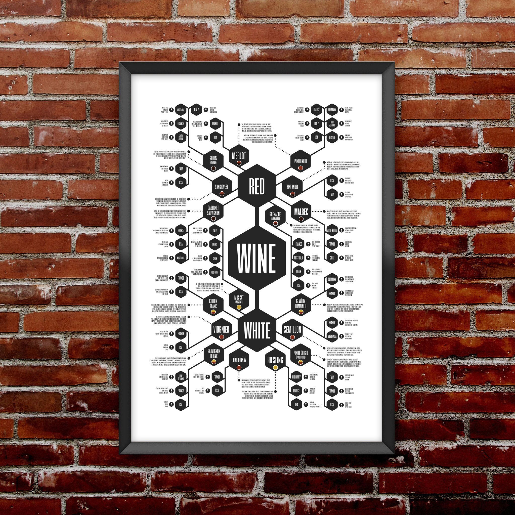 Wine Diagram Print