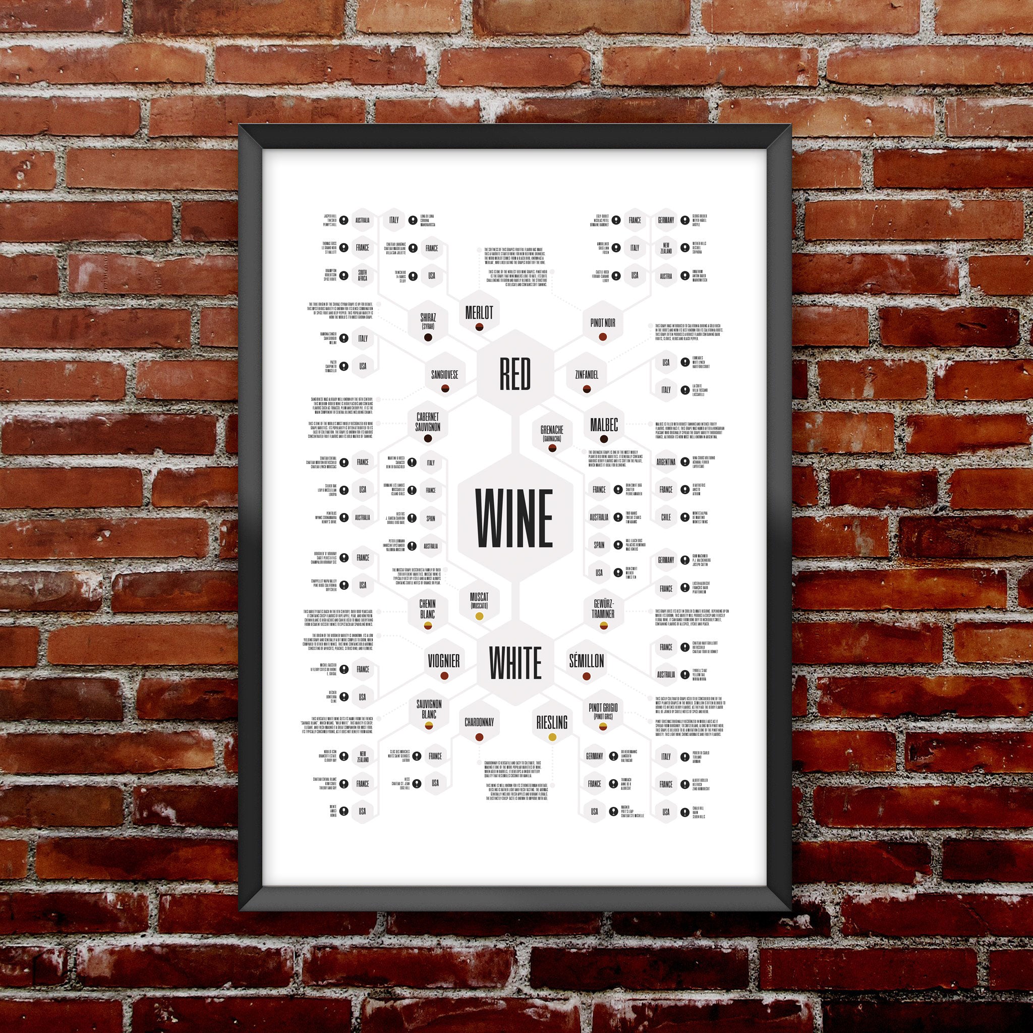 Wine Diagram Print
