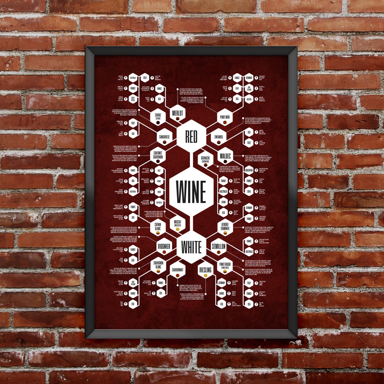 Complete Set of 3 - Beer Diagram + Whiskey Diagram + Wine Diagram Prints
