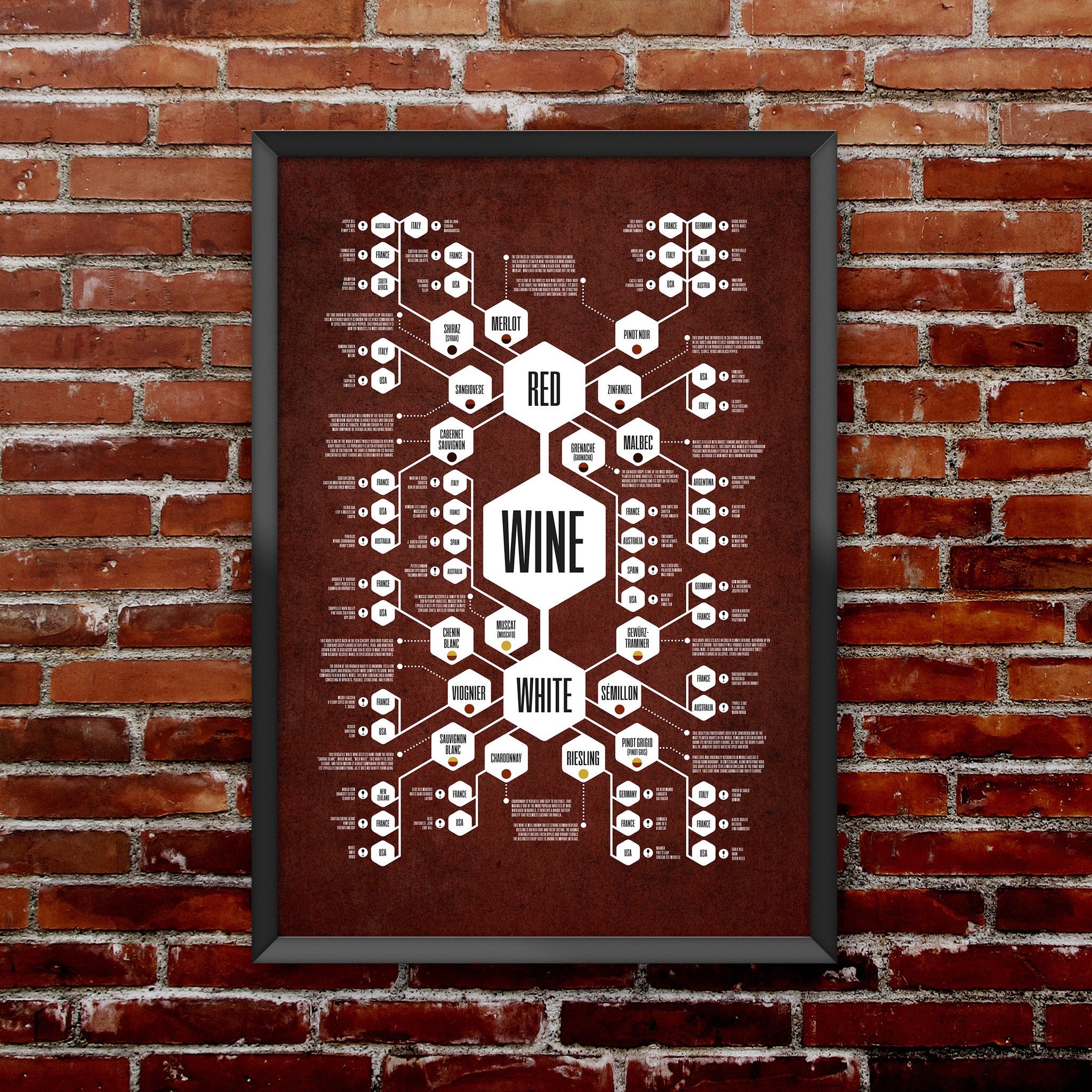Wine Diagram Print