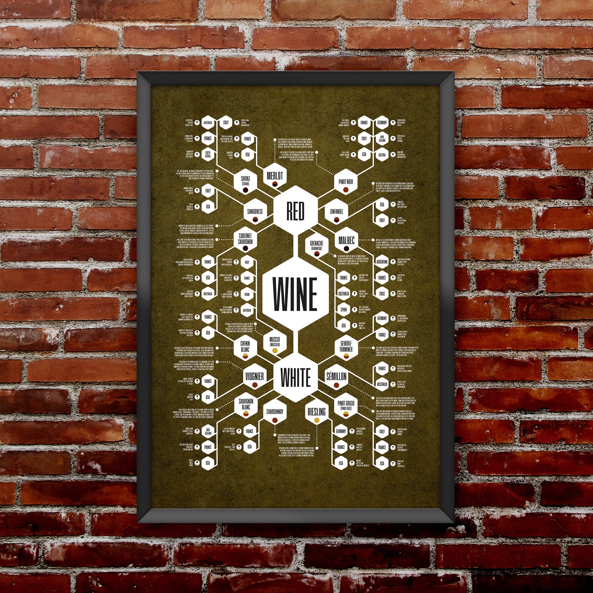 Wine Diagram Print